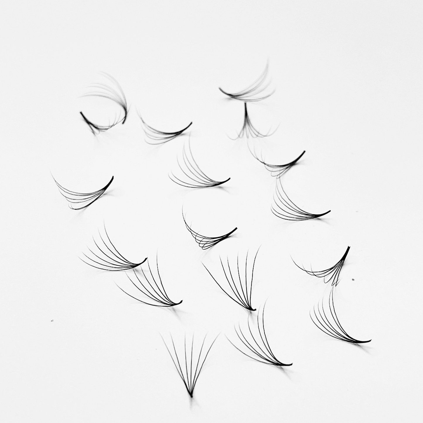 6D PROMADE LOOSE FANS | 0.07